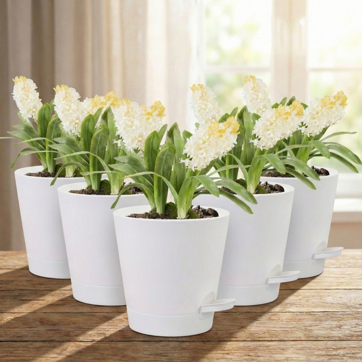 5 - Pack Self - Watering Flower Pots with Drainage - Flowerpot - Wild Eye Vision