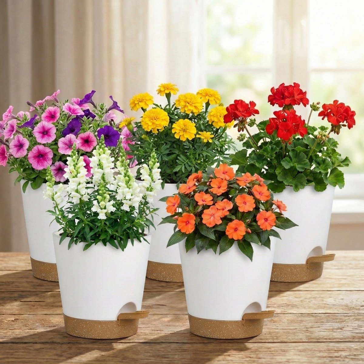 5 - Pack Self - Watering Flower Pots with Drainage - Flowerpot - Wild Eye Vision