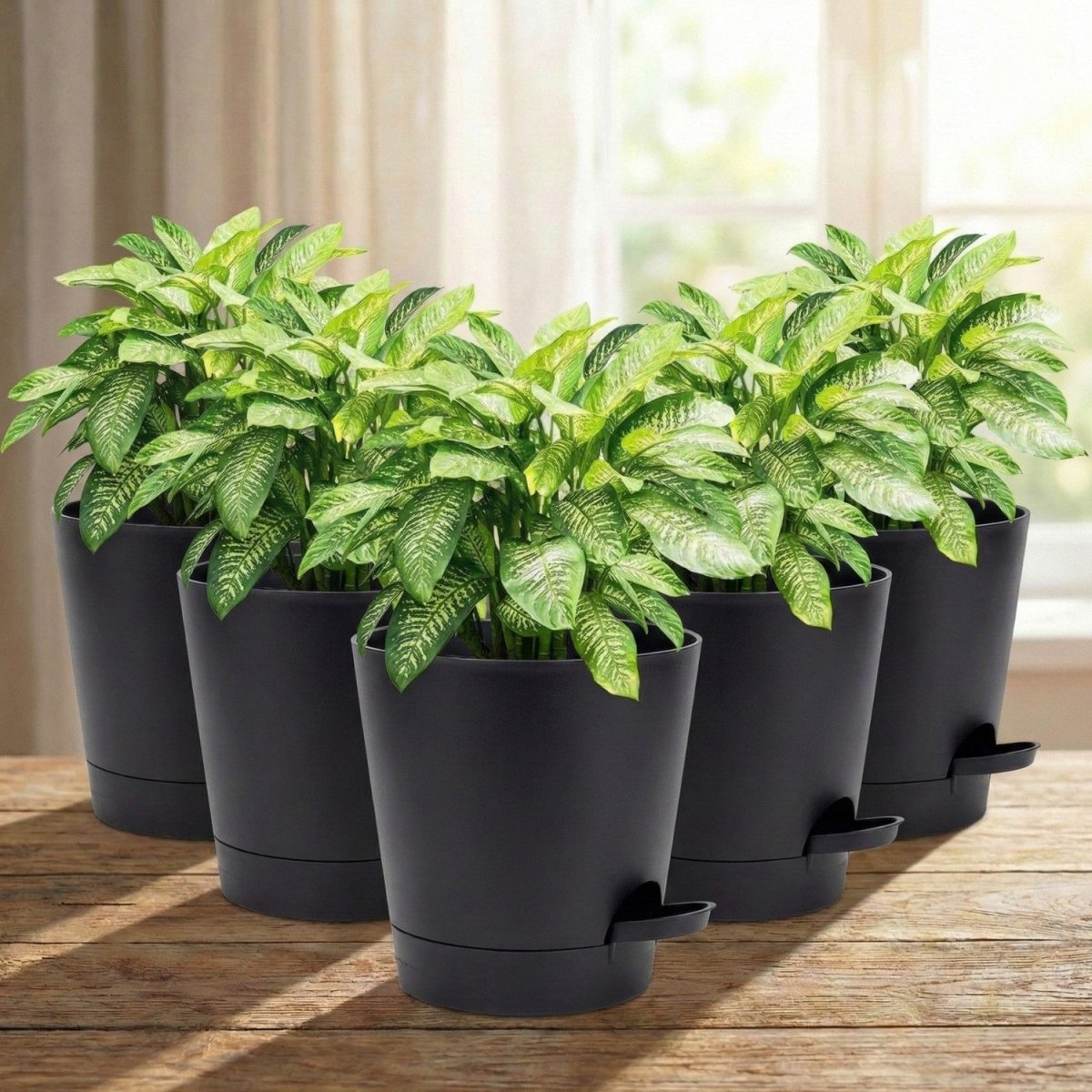 5 - Pack Self - Watering Flower Pots with Drainage - Flowerpot - Wild Eye Vision