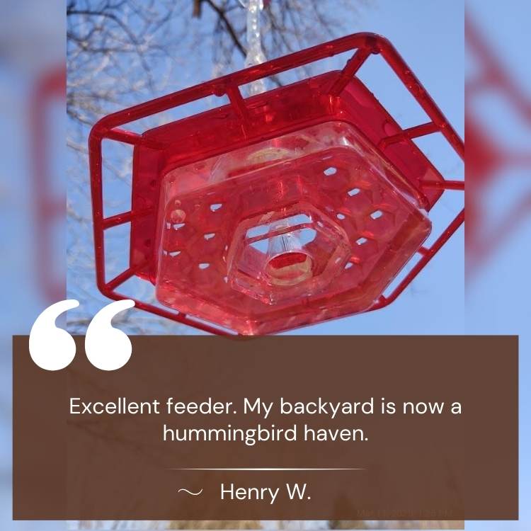 Decorative Garden Hummingbird Feeder - Bird Feeder - Wild Eye Vision