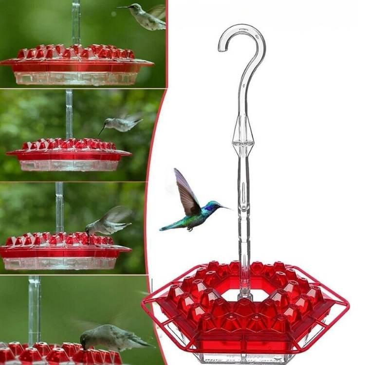 Decorative Garden Hummingbird Feeder - Bird Feeder - Wild Eye Vision