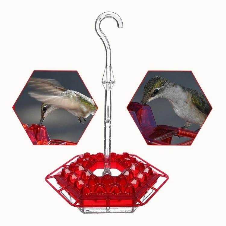 Decorative Garden Hummingbird Feeder - Bird Feeder - Wild Eye Vision