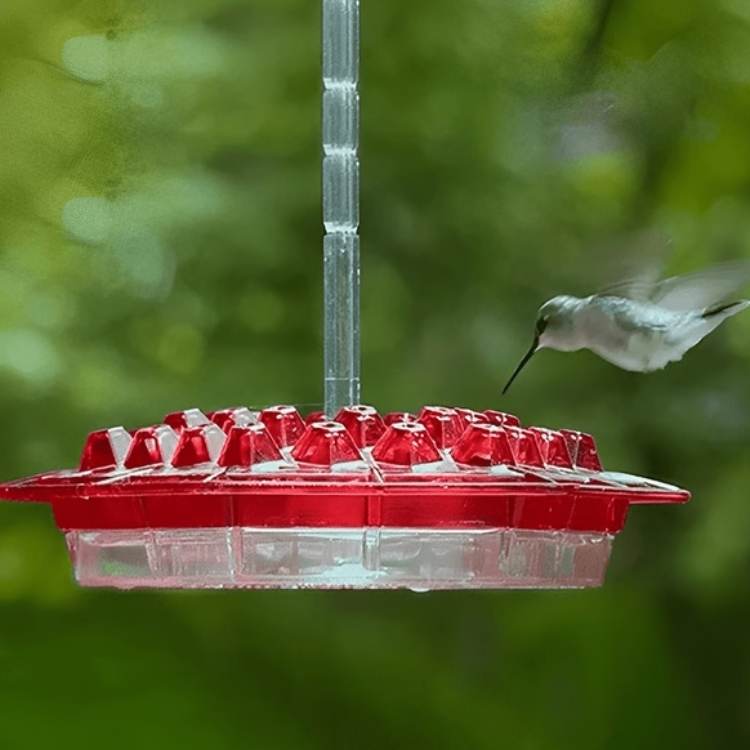 Decorative Garden Hummingbird Feeder - Bird Feeder - Wild Eye Vision