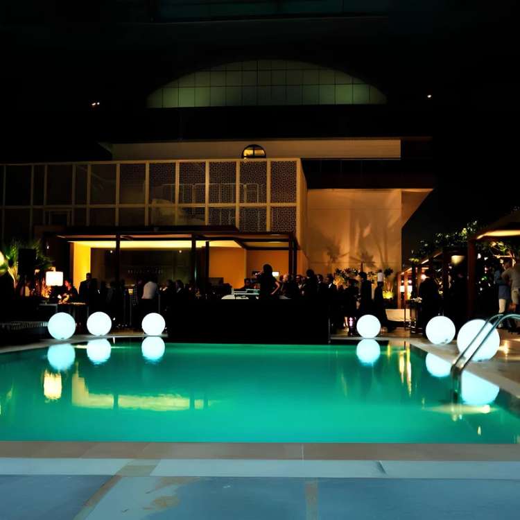 Eco - Friendly Illuminated Spherical Garden Light - Garden Light - Wild Eye Vision