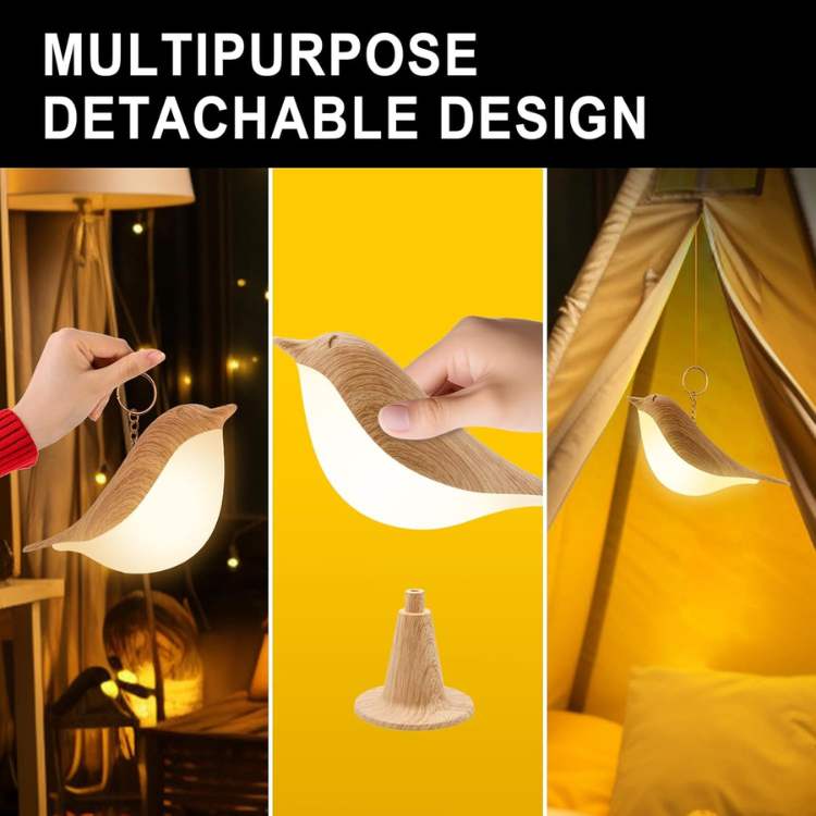 FeatherGlow Touch Lamp - Table Lamp - Wild Eye Vision
