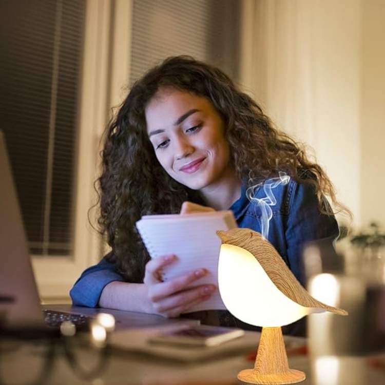 FeatherGlow Touch Lamp - Table Lamp - Wild Eye Vision