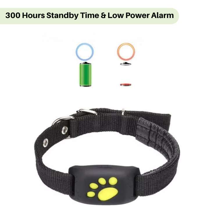 FindMyCat GPS Tracker - Cat GPS Tracker - Wild Eye Vision