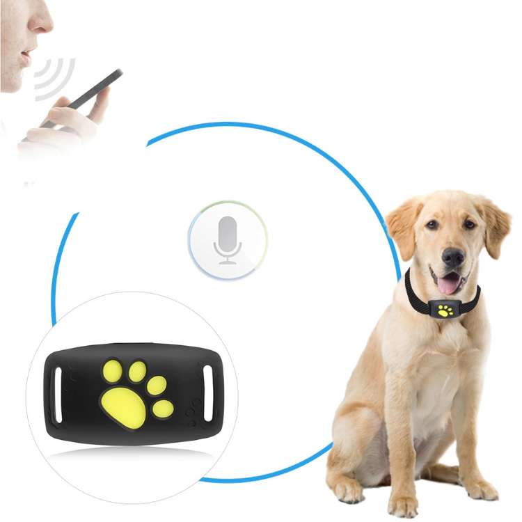FindMyDog GPS Tracker - Dog GPS Tracker - Wild Eye Vision