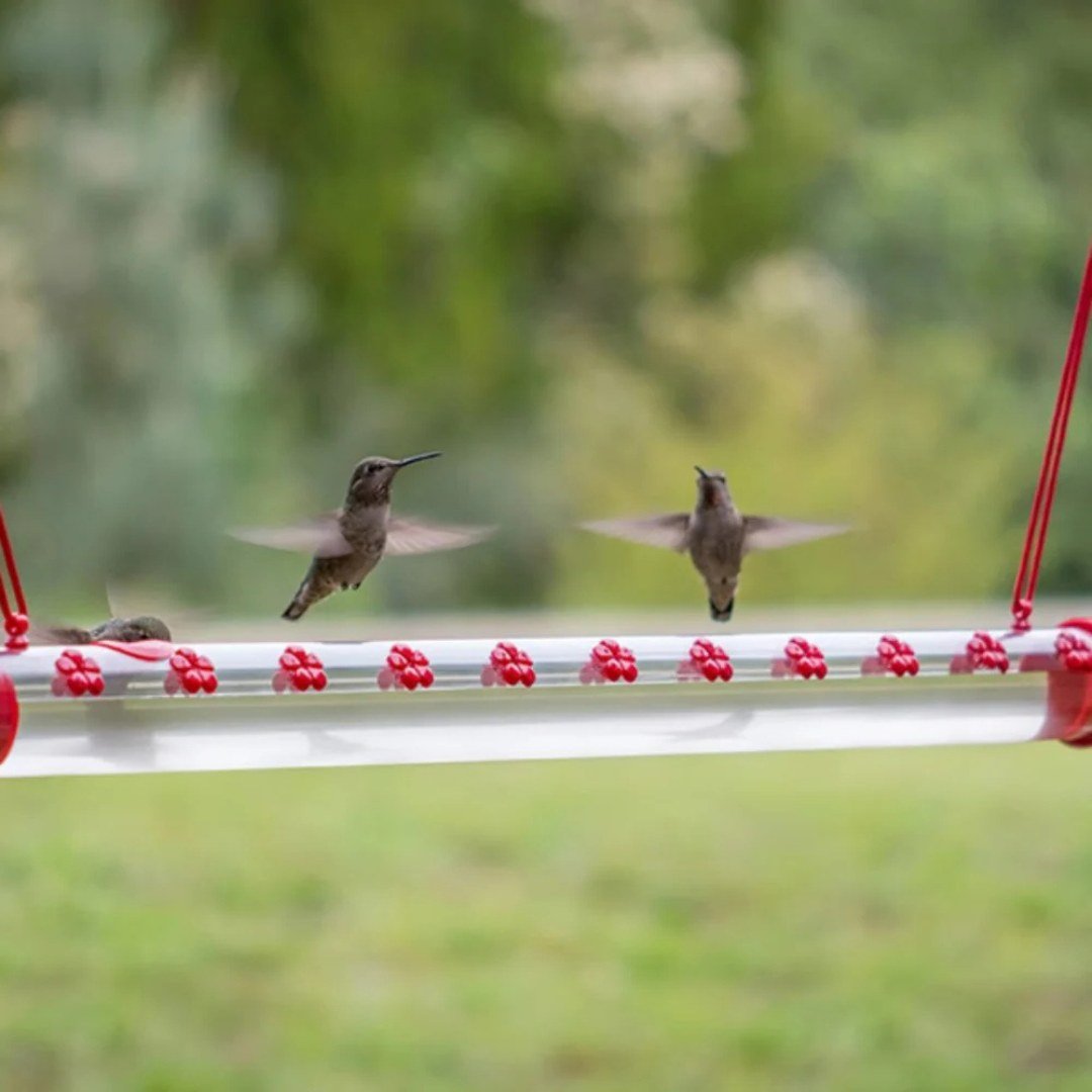 HoverBloom – 20 - Port Hanging Hummingbird Feeder - Bird Feeder - Wild Eye Vision
