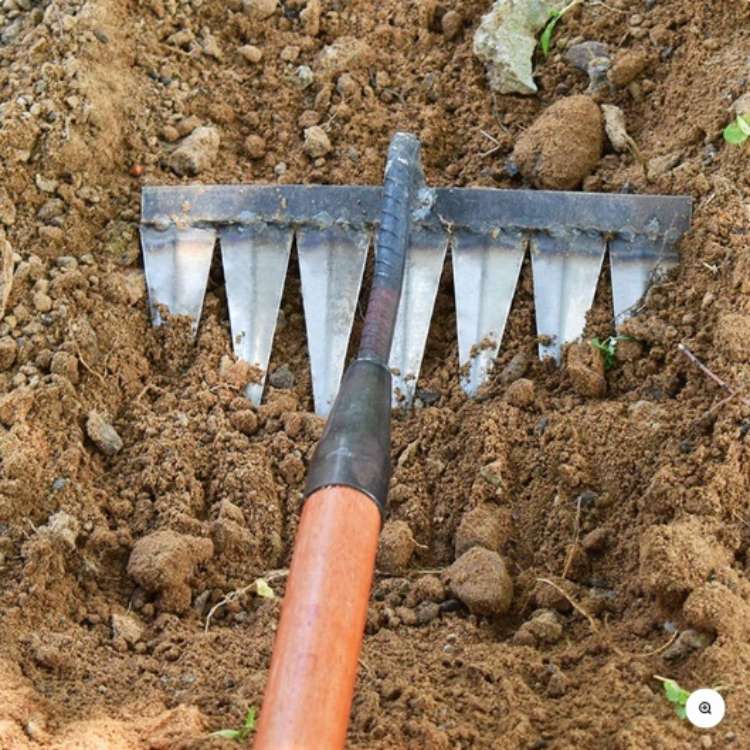 LawnLiberator Steel Rake - Steel Rake - Wild Eye Vision