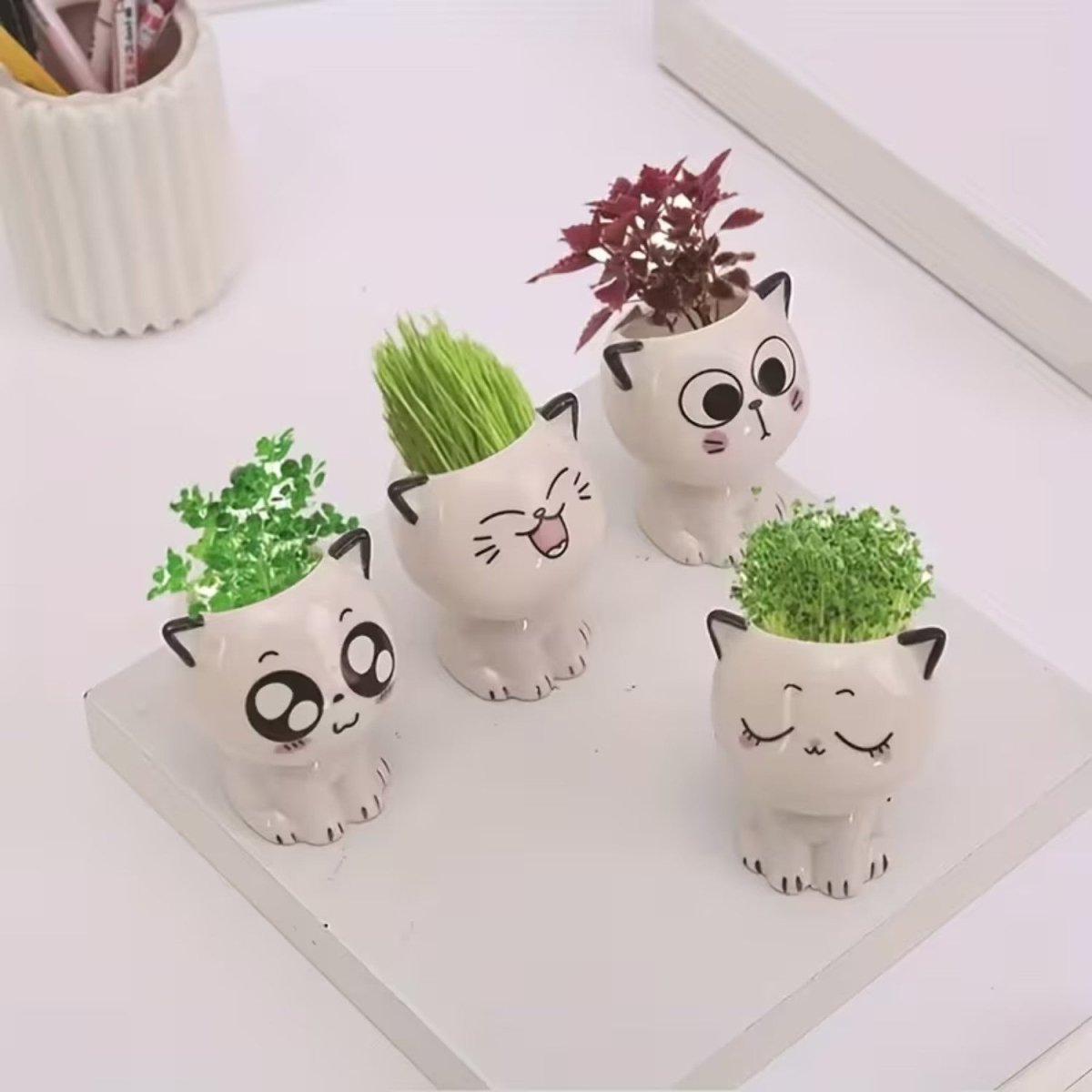 Mini Cat Ceramic Flowerpot for Small Plants - Flowerpot - Wild Eye Vision