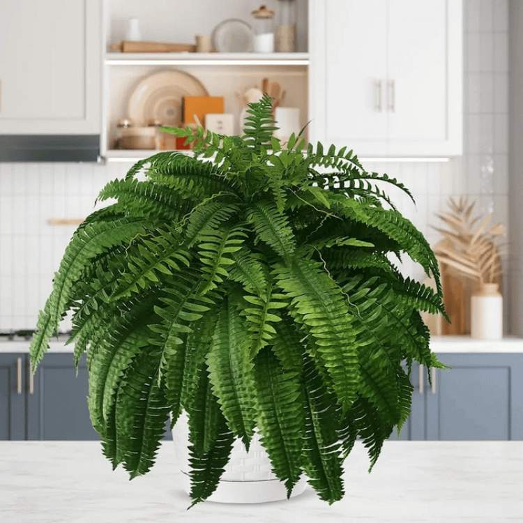 NatureLook Realistic Fern Plant - Artificial Fern Plant - Wild Eye Vision