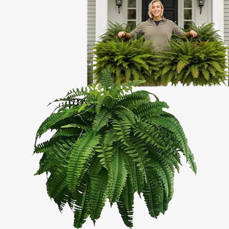 NatureLook Realistic Fern Plant - Artificial Fern Plant - Wild Eye Vision