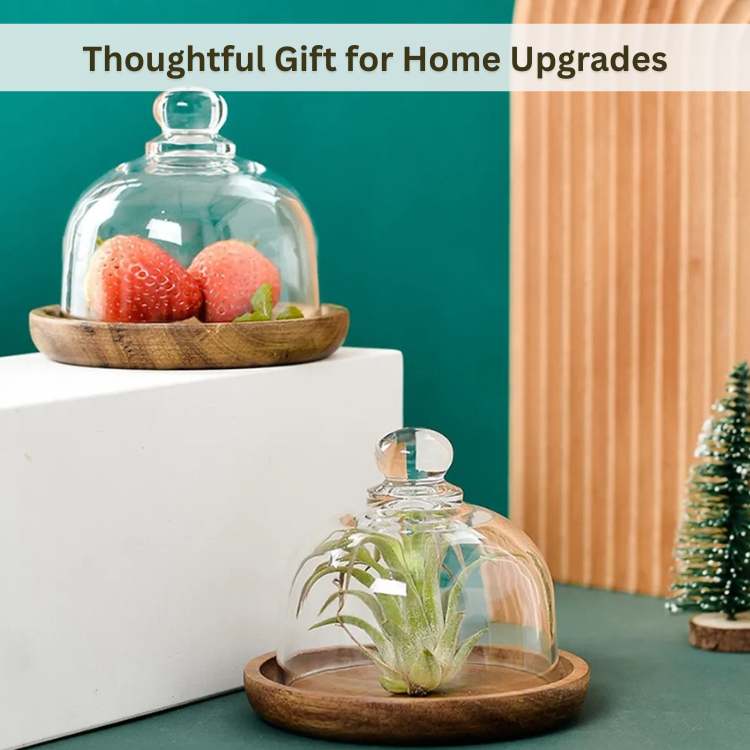 NatureNest Wooden Food Container - Food Container - Wild Eye Vision