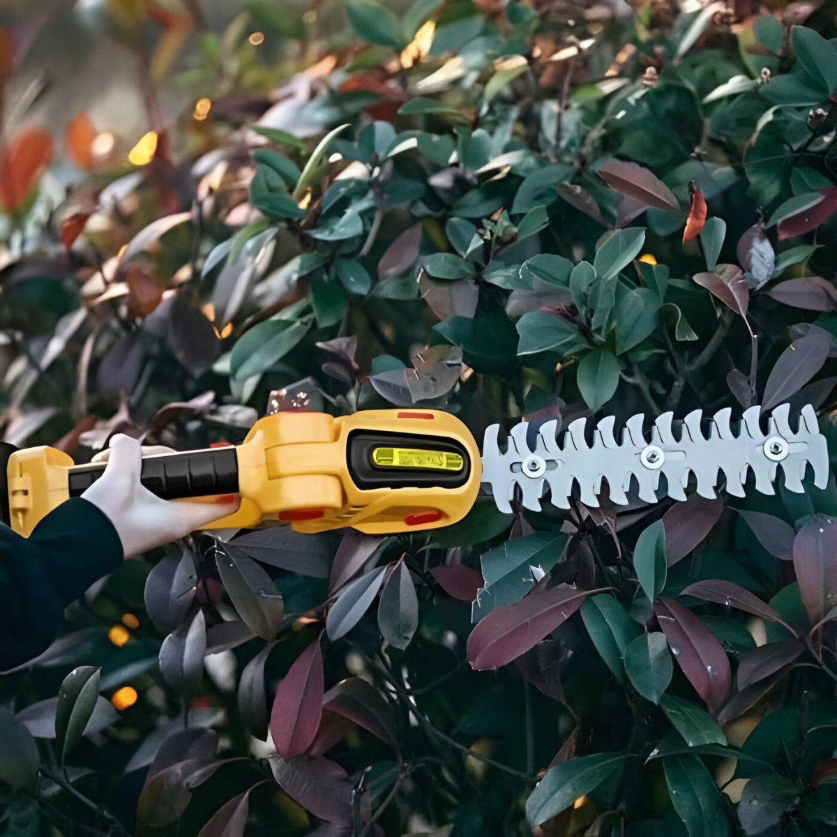 Professional 2 - in - 1 Cordless Hedge & Shrub Trimmer - Hedge Trimmer - Wild Eye Vision