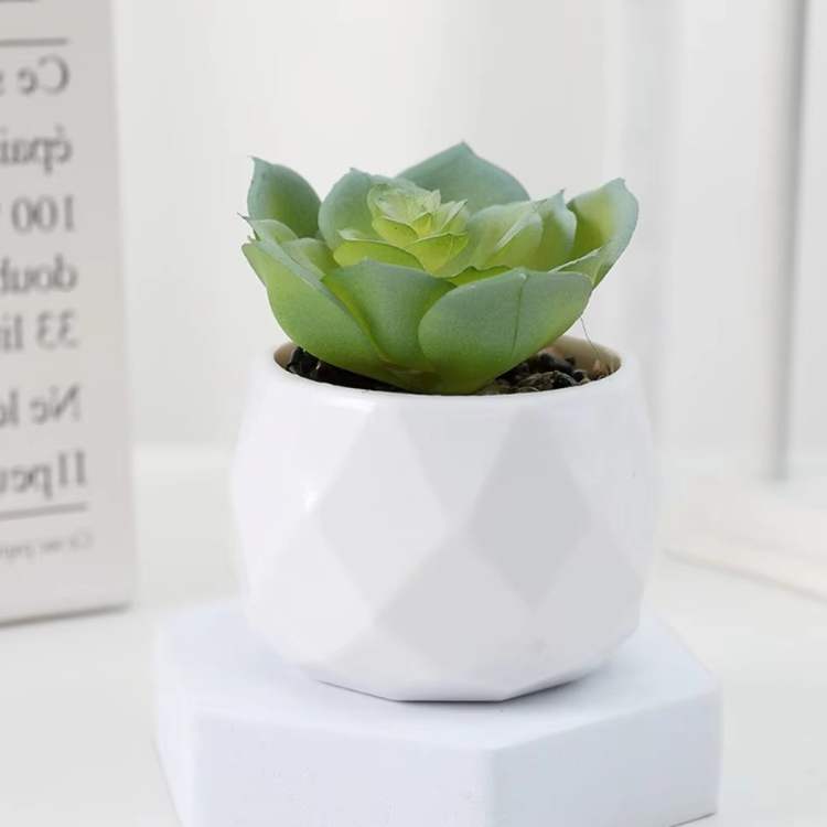 PureLeaf Mini Bonsai Decor - Artificial Plant - Wild Eye Vision