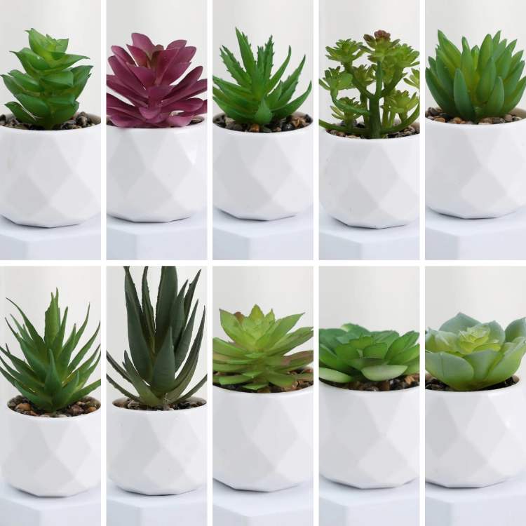 PureLeaf Mini Bonsai Decor - Artificial Plant - Wild Eye Vision