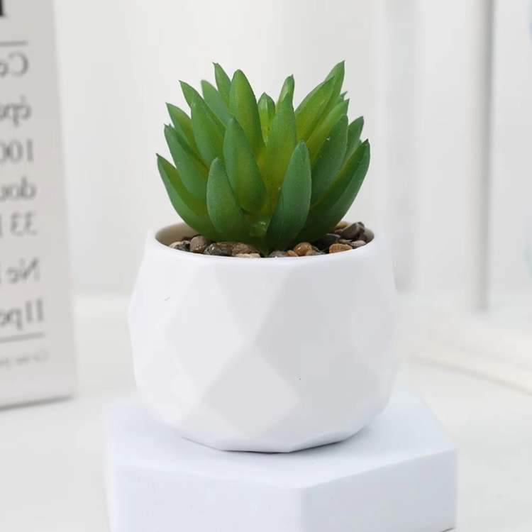 PureLeaf Mini Bonsai Decor - Artificial Plant - Wild Eye Vision