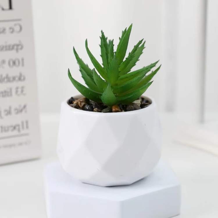 PureLeaf Mini Bonsai Decor - Artificial Plant - Wild Eye Vision