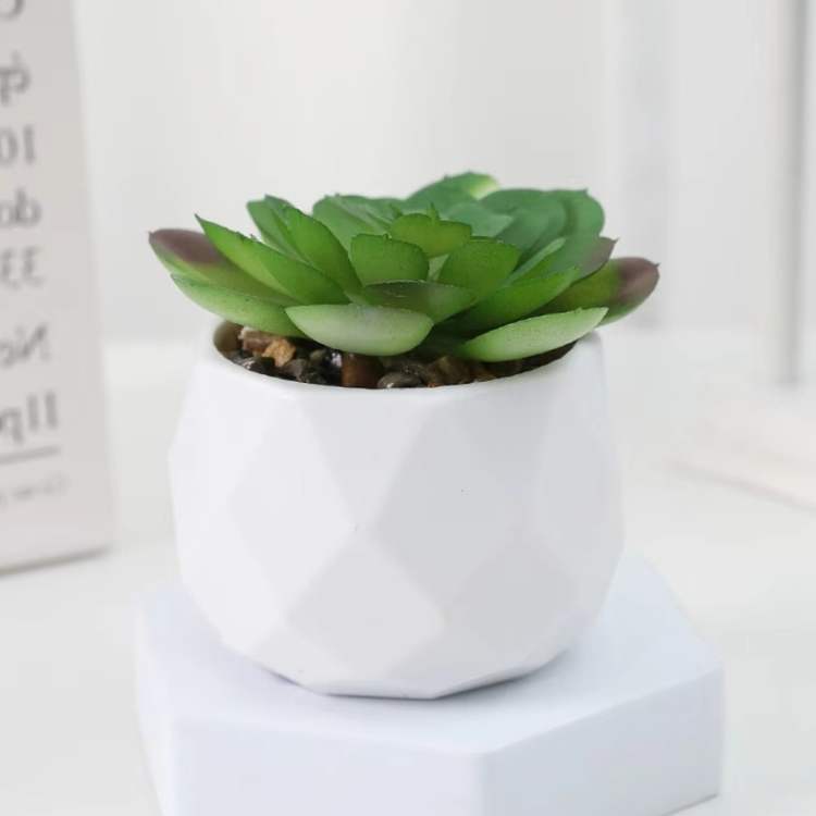 PureLeaf Mini Bonsai Decor - Artificial Plant - Wild Eye Vision