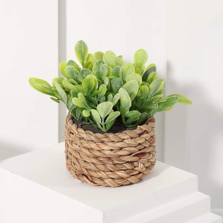 PureLeaf Mini Eucalyptus Plant - Artificial Plant - Wild Eye Vision