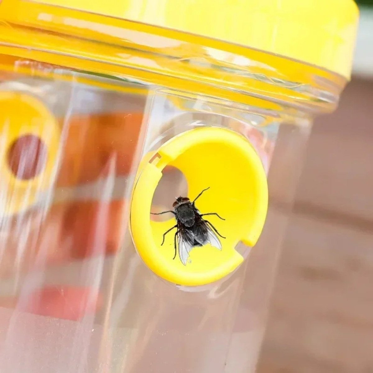 Reusable Hanging Wasp Trap - Fly Trap - Wild Eye Vision