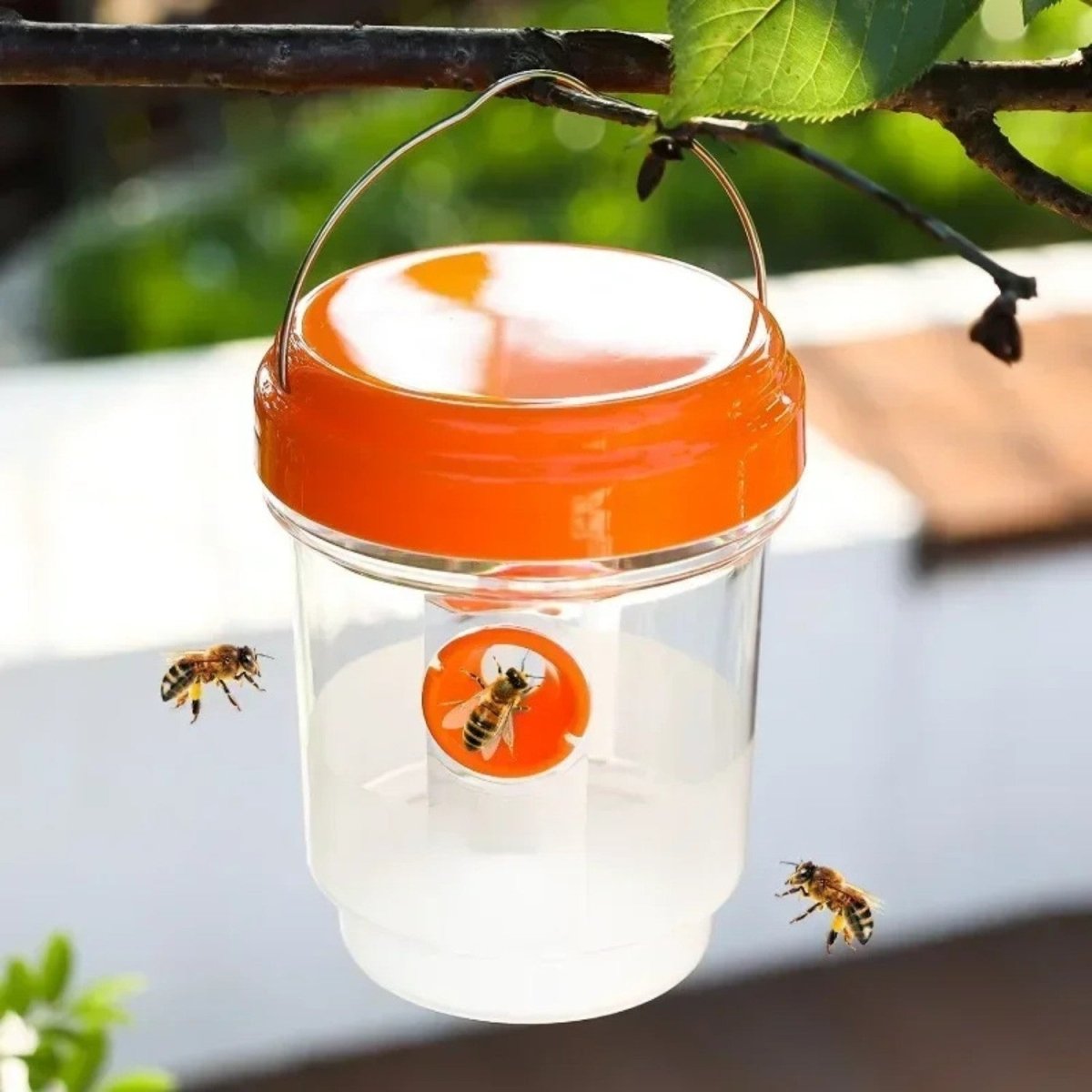 Reusable Hanging Wasp Trap - Fly Trap - Wild Eye Vision