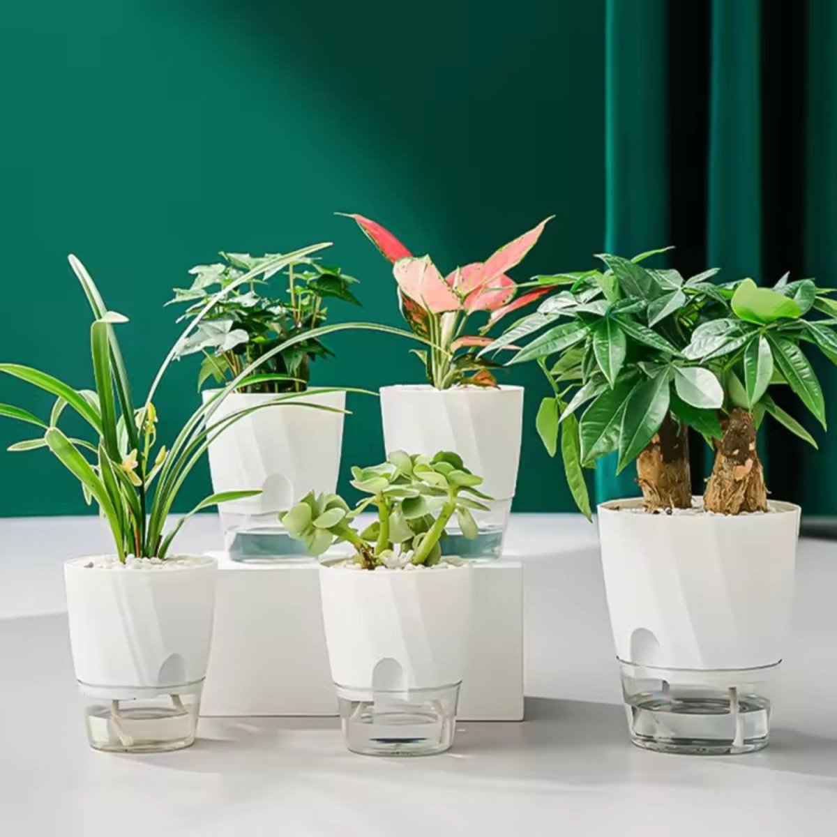 Self - Watering Flowerpot for Clean Indoor Gardening - Flowerpot - Wild Eye Vision