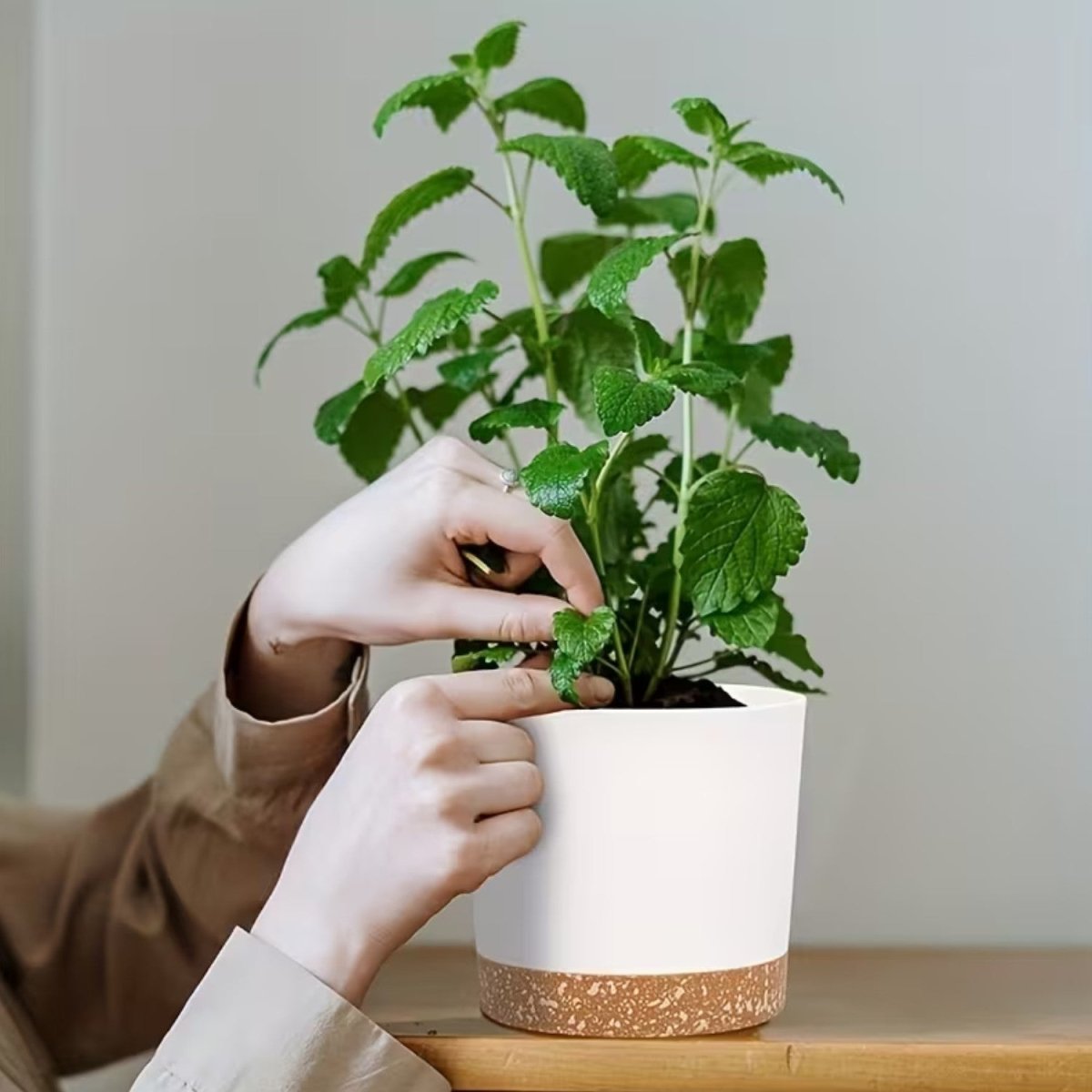 Set of 4 Modern Flower Pots with Drainage - Flowerpot - Wild Eye Vision