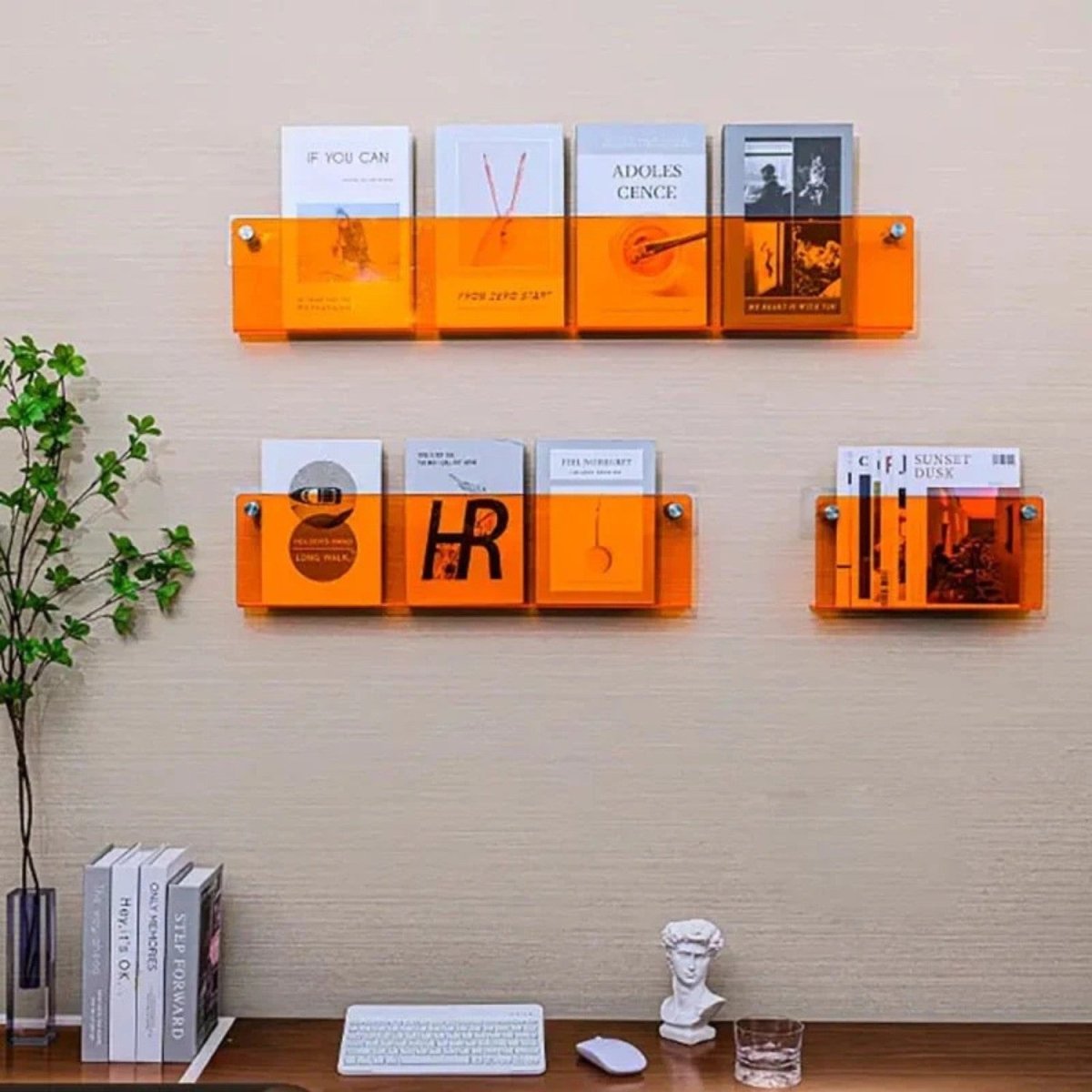 Sleek Clear Acrylic Magazine Wall Shelf - Wall Shelf - Wild Eye Vision