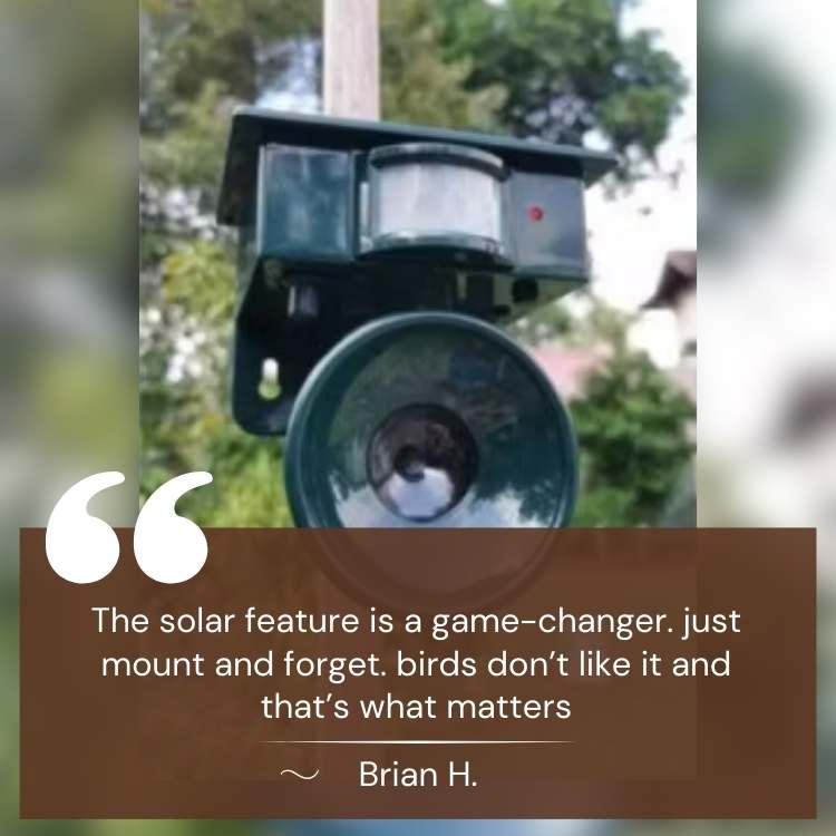 Smart Ultrasonic Solar Bird Repeller - Ultrasonic Pest Repeller - Wild Eye Vision
