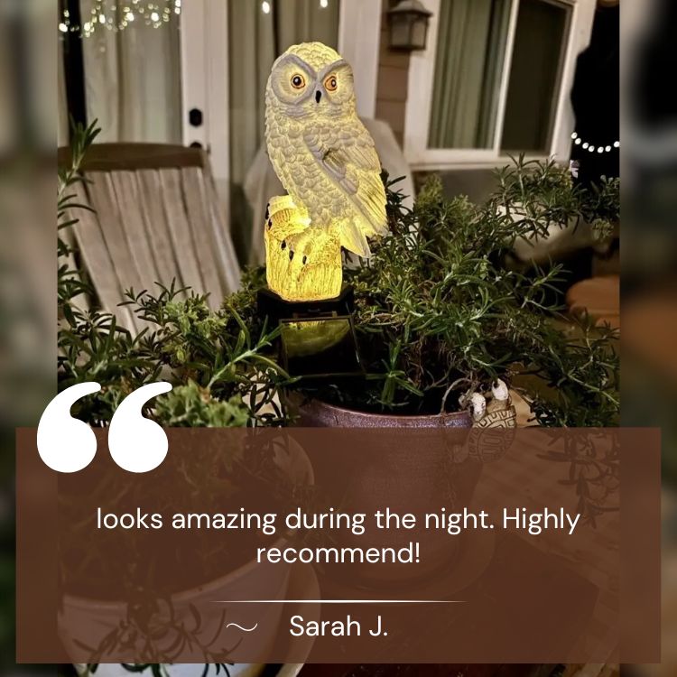 Solar Owl Garden Light - Garden Light - Wild Eye Vision