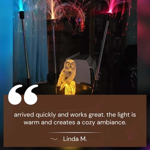 Solar - Powered Decorative Garden Light - Garden Light - Wild Eye Vision