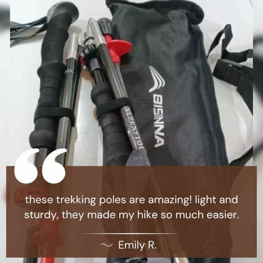 TrailMate Ultra - Light Trekking Poles - Trekking Poles - Wild Eye Vision