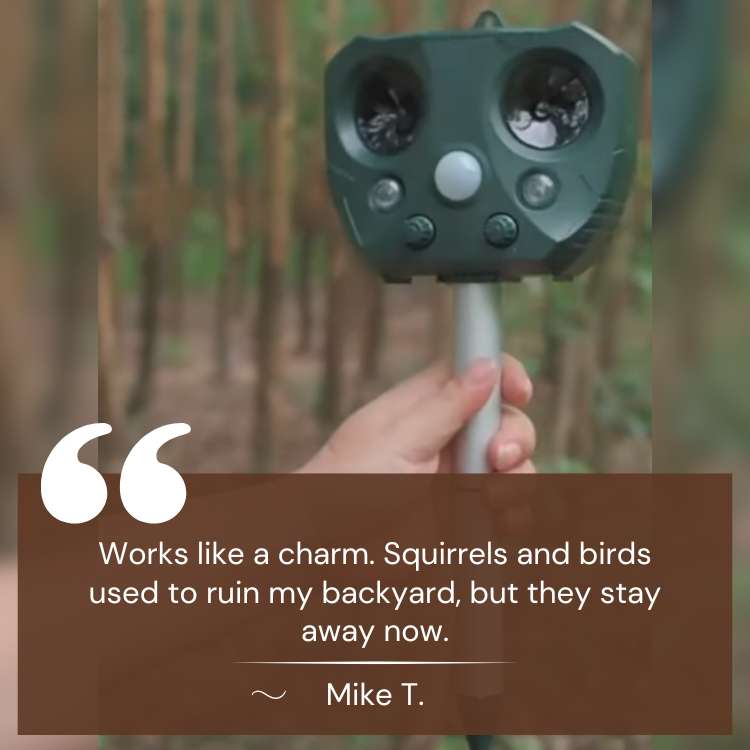 Ultrasonic Bird & Pest Defender - Bird Scarer - Wild Eye Vision