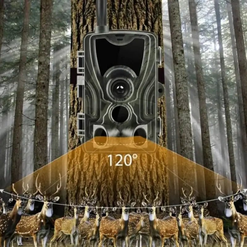 Wild Eye Connect+ - Wildlife & Trail Camera - Wild Eye Vision