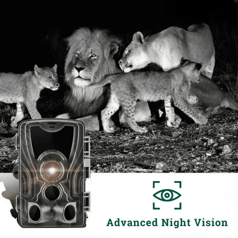 Wild Eye Connect+ - Wildlife & Trail Camera - Wild Eye Vision