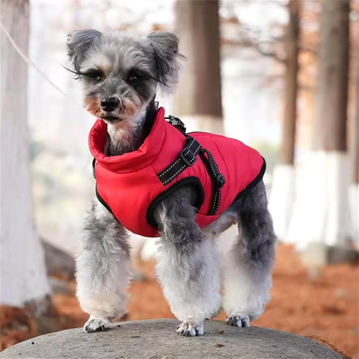 Wind & Water - Resistant Dog Jacket - Dog Jacket - Wild Eye Vision