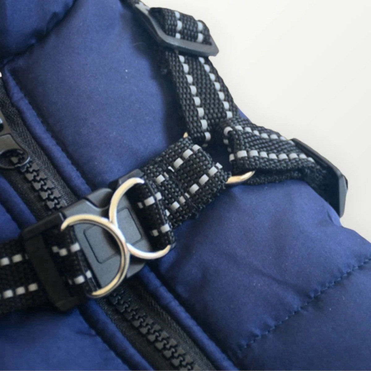 Wind & Water - Resistant Dog Jacket - Dog Jacket - Wild Eye Vision