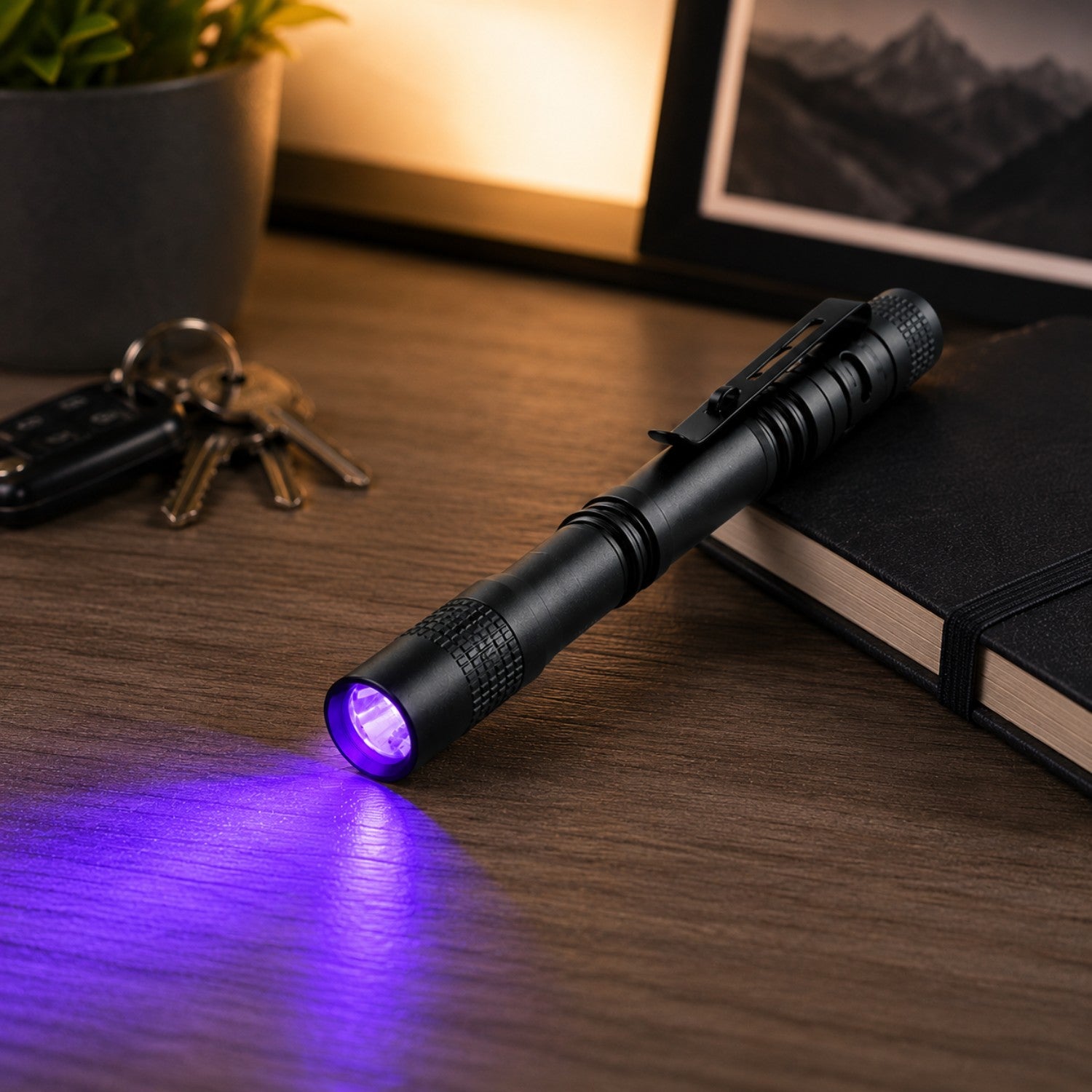 Portable UV Blacklight Flashlight