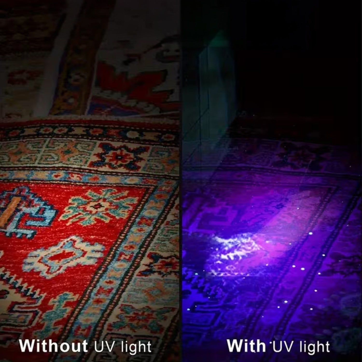 Portable UV Blacklight Flashlight