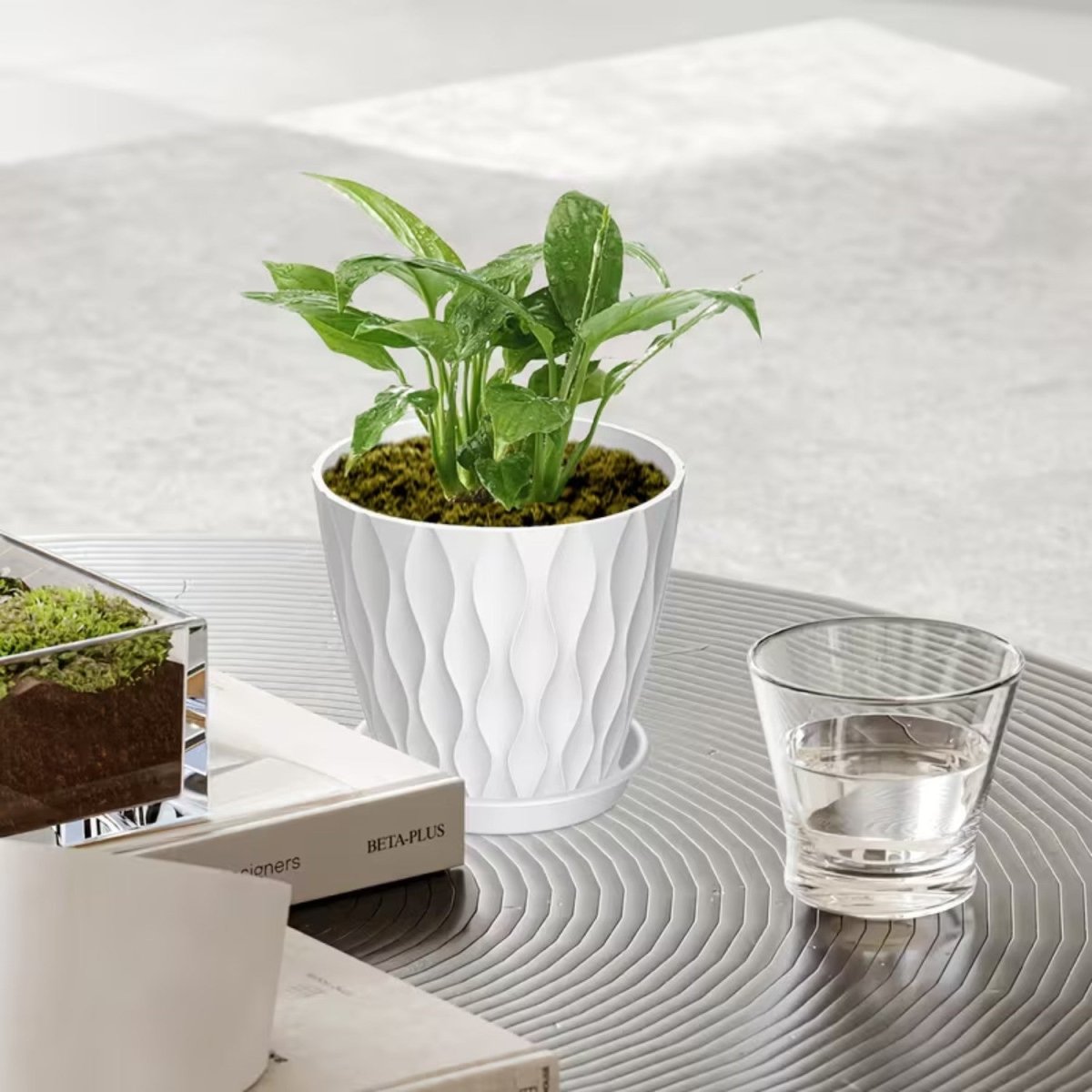 5 - Pack Wave Texture Plant Pots with Drainage - Flowerpot - Wild Eye Vision