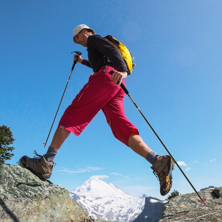 All - Terrain Lightweight Trekking Poles - Trekking Poles - Wild Eye Vision