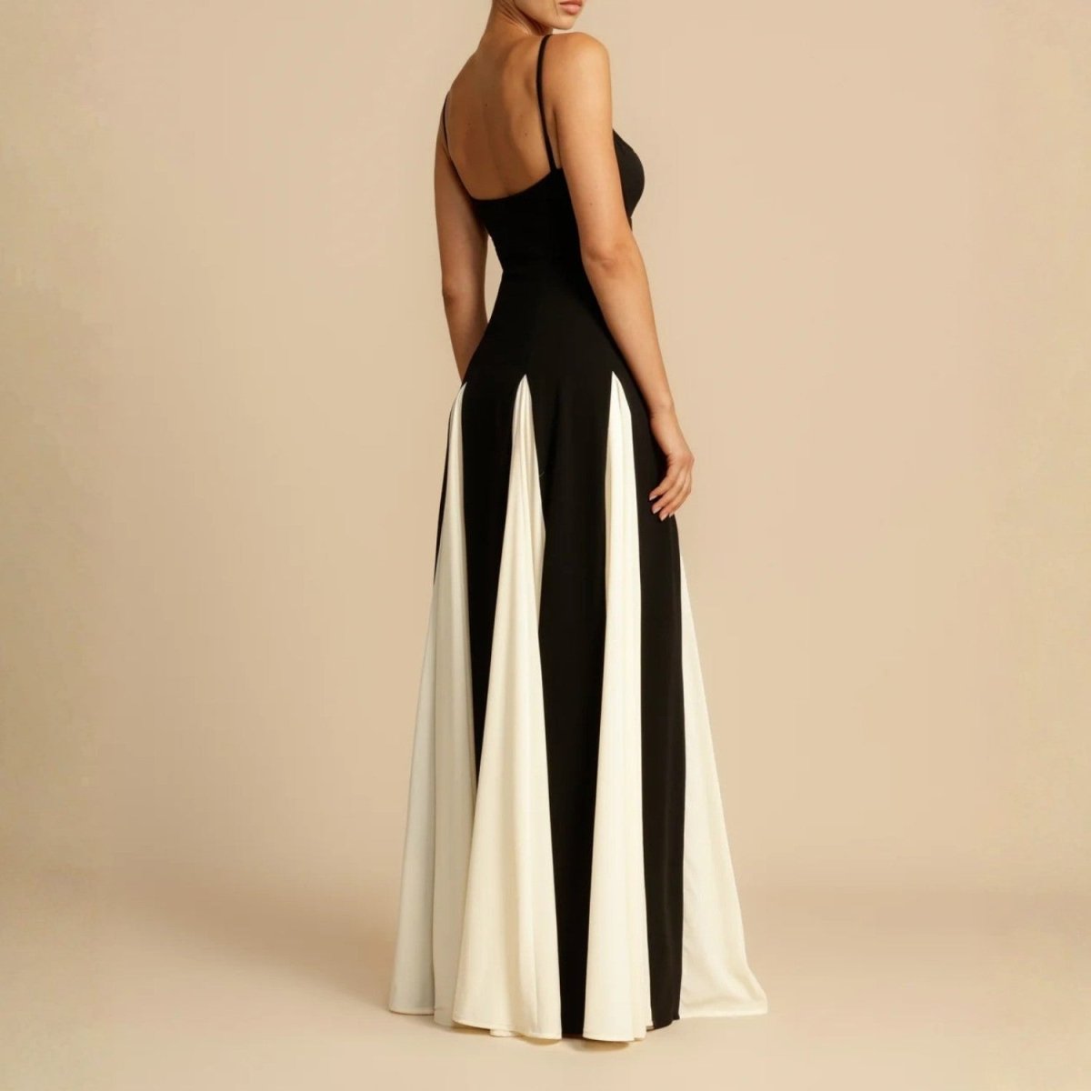 Color Block Maxi Dress - Maxi Dress - Wild Eye Vision