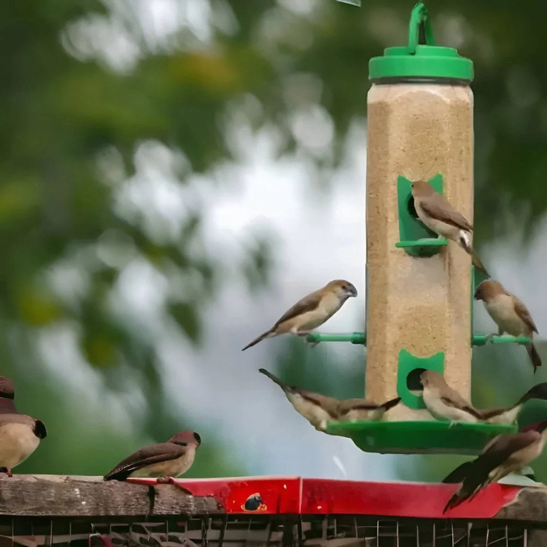 FeatherFlow – Hanging Tube Bird Feeder with Multi - Port Design - Bird Feeder - Wild Eye Vision