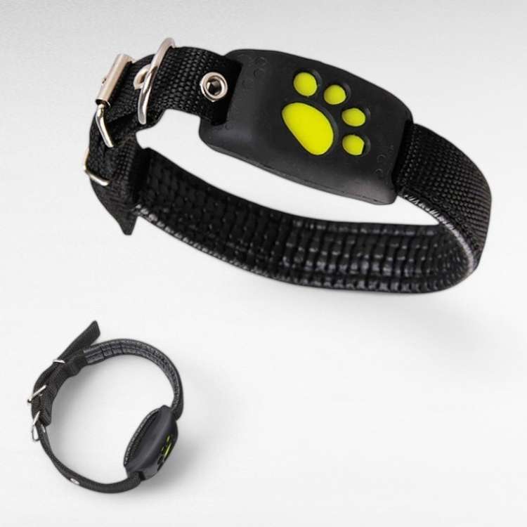 FindMyDog GPS Tracker - Dog GPS Tracker - Wild Eye Vision
