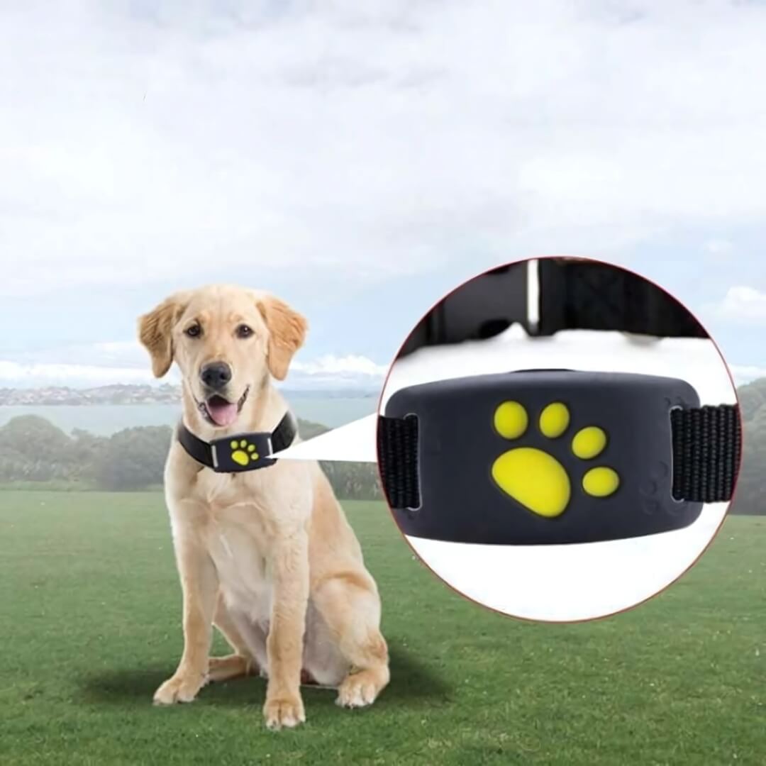 FindMyDog GPS Tracker - Dog GPS Tracker - Wild Eye Vision