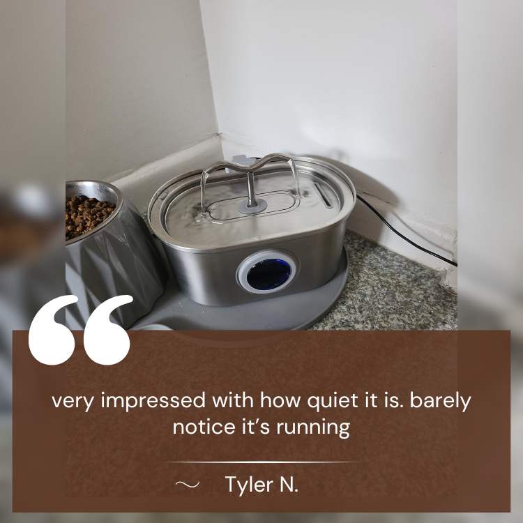 FreshFlow Silent Hydration Cat Fountain - Cat Fountain - Wild Eye Vision