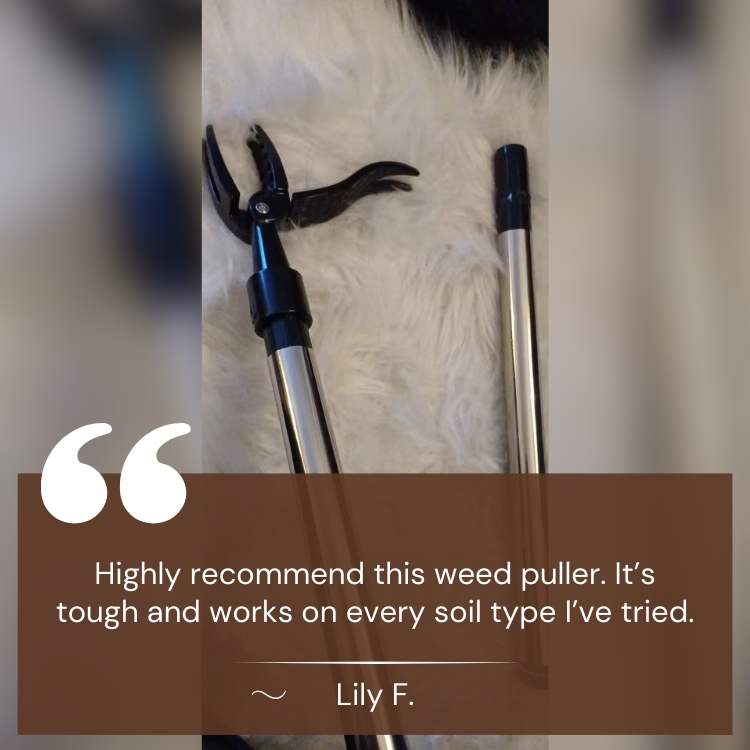 Heavy - Duty Weed Grabber - Weed Grabber - Wild Eye Vision