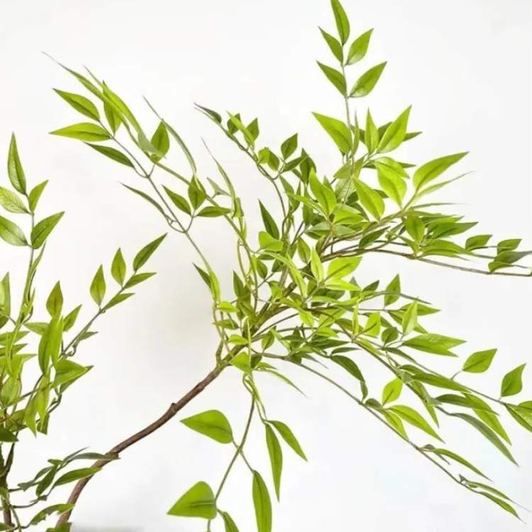 Indoor Tropical Bamboo Plant - Artificial Plant - Wild Eye Vision